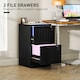 image 3 of HOMCOM 2 Drawer File Cabinet with Lock, Vertical Filing Cabinet with Adjustable Hanging Bars for A4 and Letter Size File Folders, Printer Stand with Storage, Black | Black