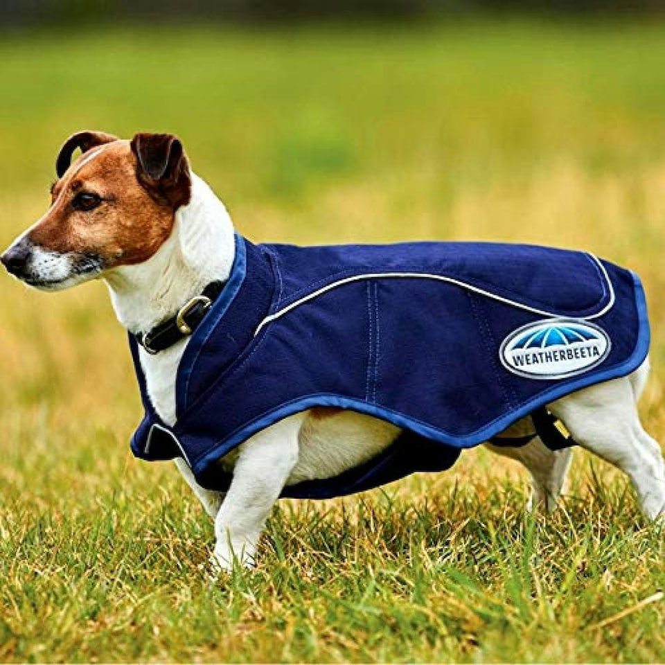 image 1 of Weatherbeeta 1200d Exercise Dog Coat - Navy - 50cm