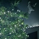 image 5 of 1500 LED 37.5m Indoor Outdoor Christmas Multi Function Mains Operated String Lights with Timer in Cool White