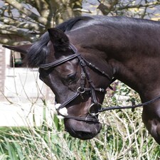 Rhinegold Elegance Stitched Mexican Bridle Black | Size: Full
Colour: Black