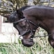 image 1 of Rhinegold Elegance Stitched Mexican Bridle Black | Size: Full
Colour: Black
