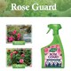 image 5 of Westland Rose Guard RTU 800ml Spray for Healthy Leaves Vibrant Colour Disease Protection and Stronger Blooms for Roses