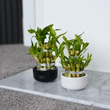 Gardening Supplies