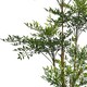 image 2 of 165cm Fire Retardant Nandina Tree with 4857 Leaves