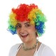 image 1 of Multi-Coloured Rainbow Curly Wig | Multi | 6