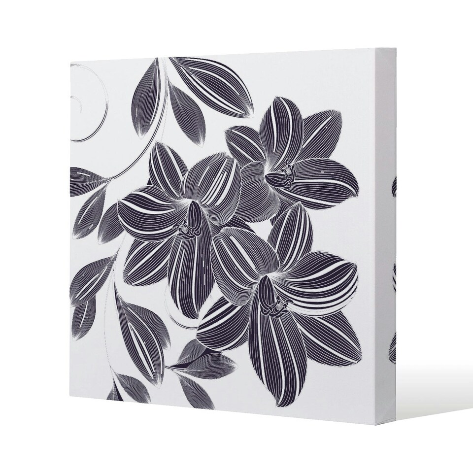 image 1 of Orchids (Canvas Print) 127 x 127 x 4cm