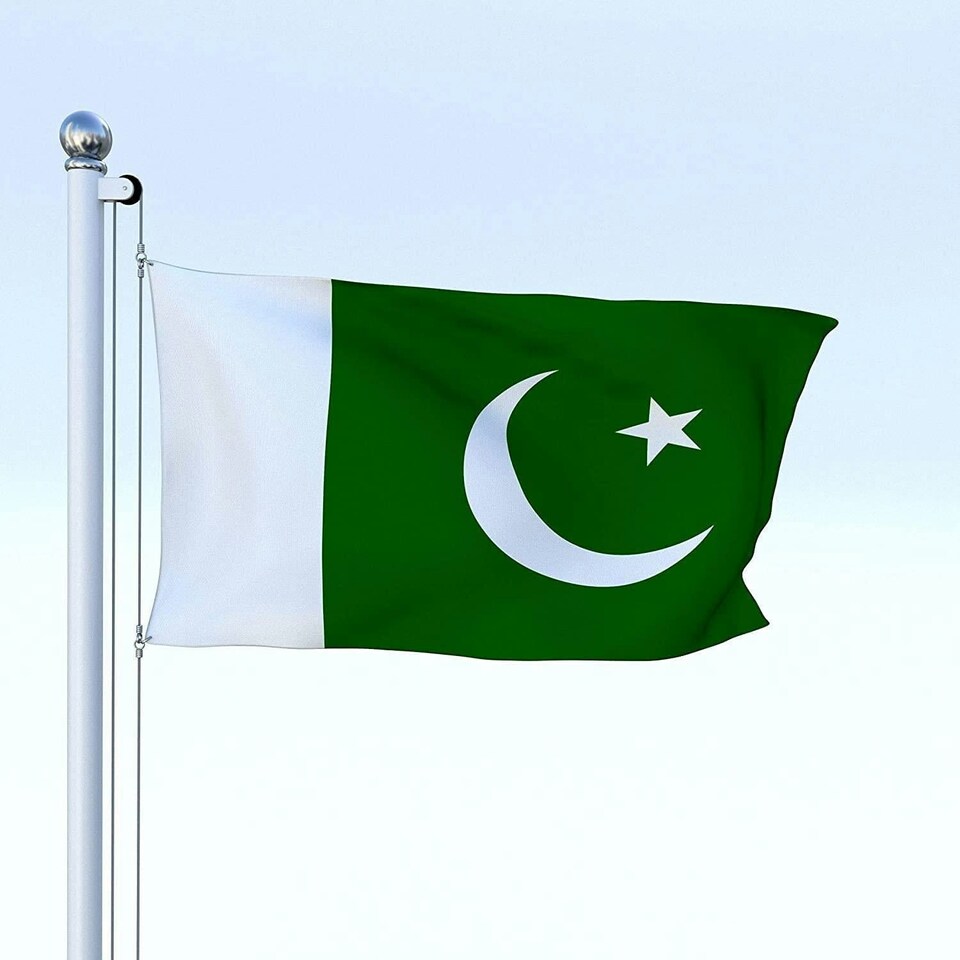 image 1 of Pakistan Flag | Green