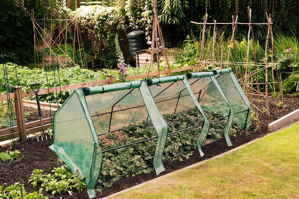 image 1 of Garden Gear XXL Apex Cloche x 2 | Green | 2