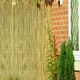 image 4 of Natural Screening Roll Privacy Peeled Reed Wind Sun Protection 3m x 2m Primrose