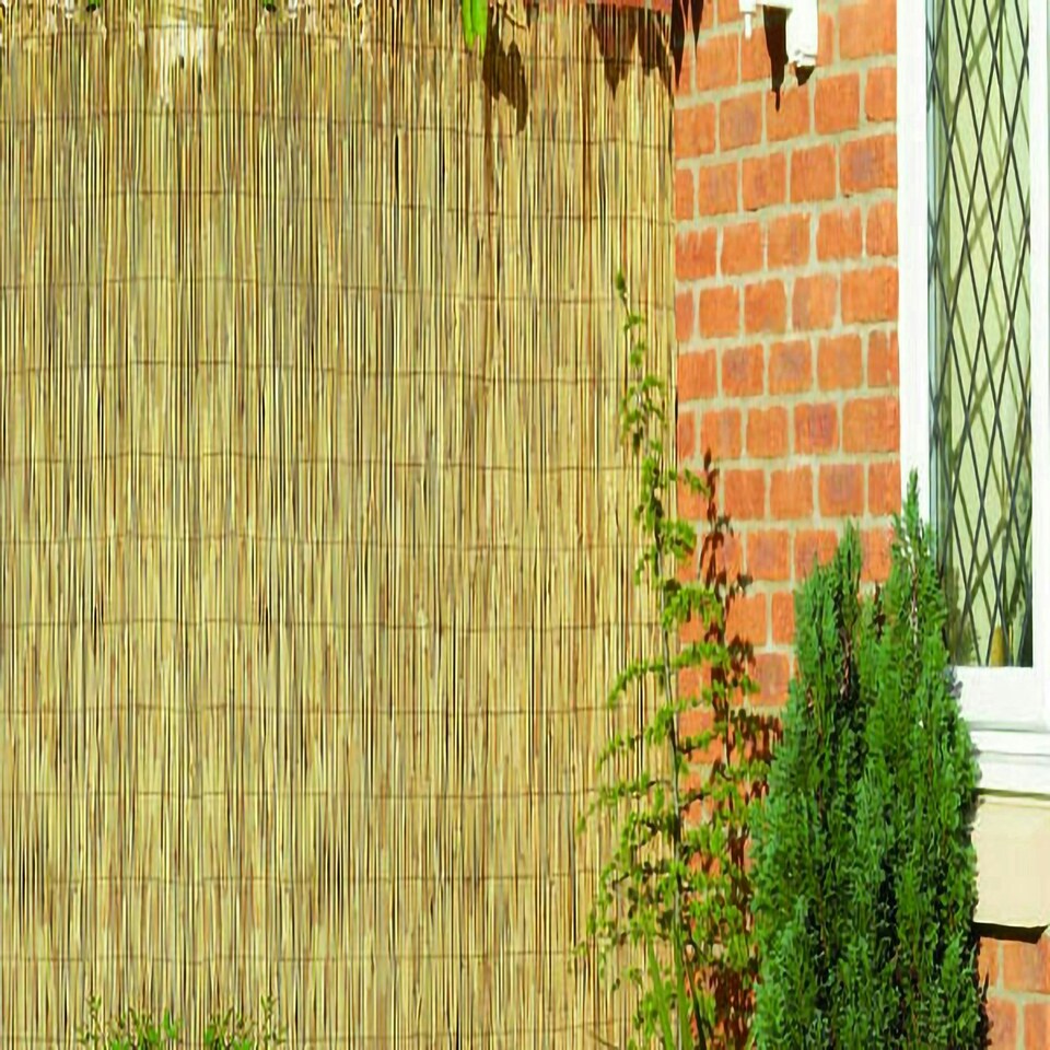 image 1 of Natural Screening Roll Privacy Peeled Reed Wind Sun Protection 3m x 2m Primrose