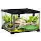 image 6 of PawHut Glass Reptile Terrarium Habitats for Lizards, Frogs, Snake 30 x 30 x 20cm