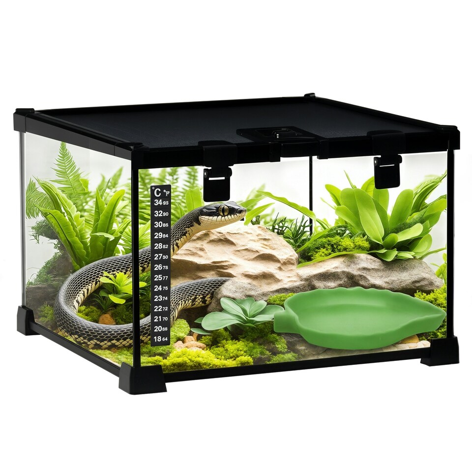image 1 of PawHut Glass Reptile Terrarium Habitats for Lizards, Frogs, Snake 30 x 30 x 20cm