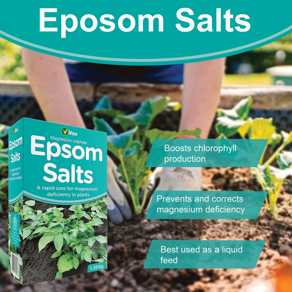 image 1 of Vitax Epsom Salts 1.25kg Fast Acting Magnesium Feed for Gardens & Houseplants