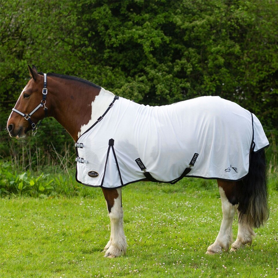 image 1 of Gallop Equestrian Dual Rug & Neck Set White | Size: 5ft 0
Colour: Black/White