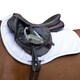 image 2 of Coldstream Edrom Horse Saddlepad - White - Full