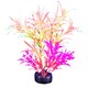 image 3 of Marina iGlo Plant Pink Alternanthera 5.5"