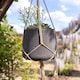 image 1 of Primrose Round Cement Wall or Ceiling Hanging Plant Pot in Brown 17cm