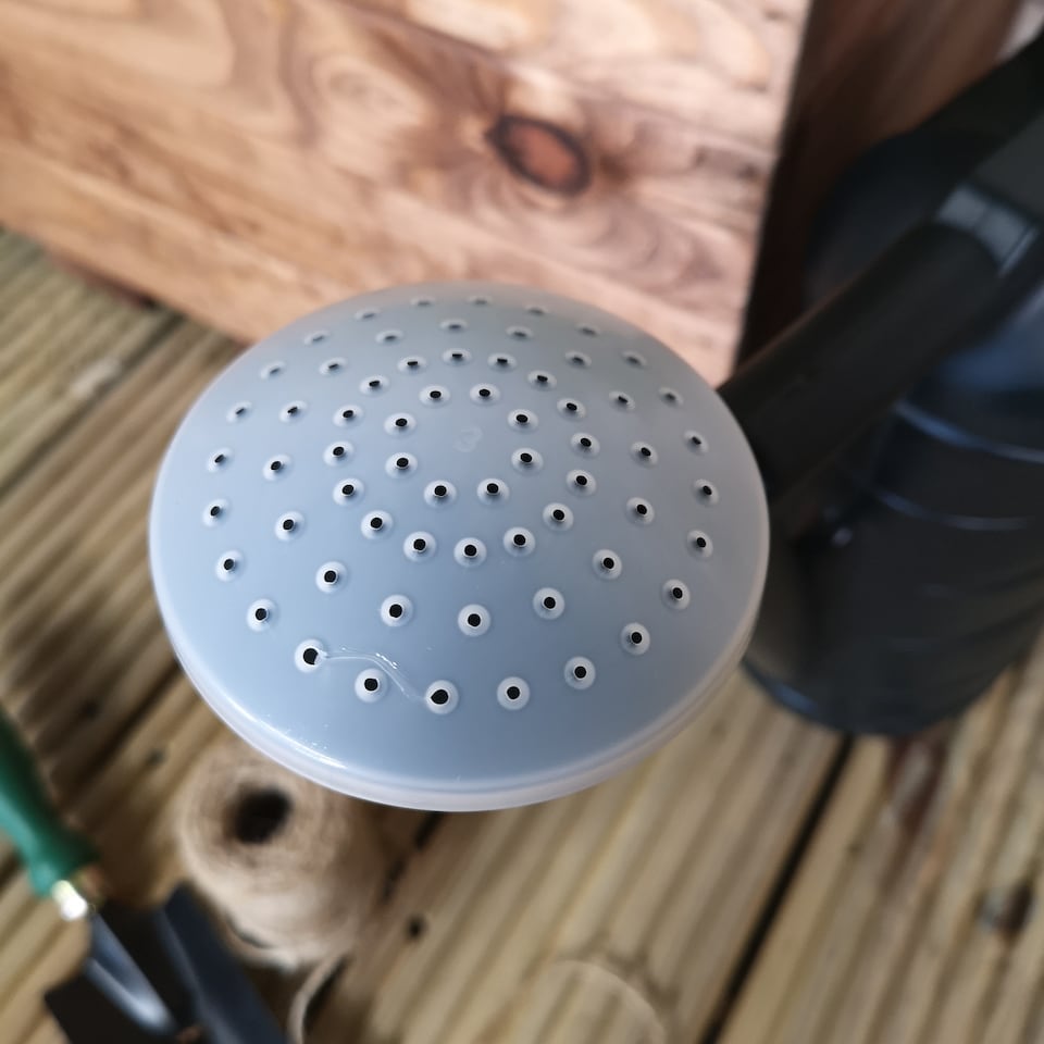 image 1 of 2 of 6.5L Ward Garden Watering Can With Rose - Green