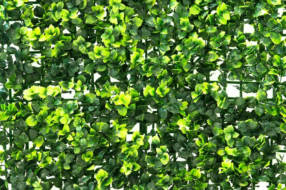 image 1 of Primrose Dark Buxus Artificial Hedge Garden Patio Panels 50cm x 50cm Set of 2