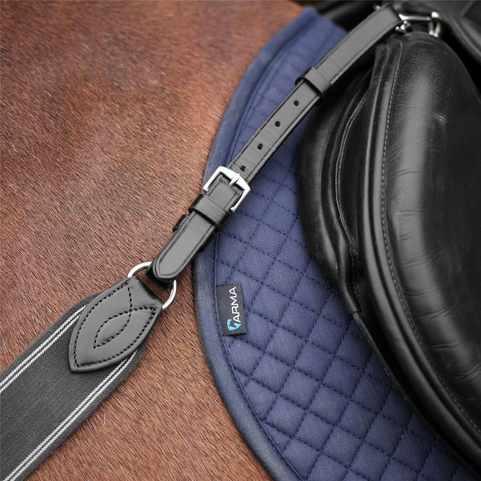 image 1 of Lusso 3 Point Elastic Breastplate Black | Size: Full
Colour: Black