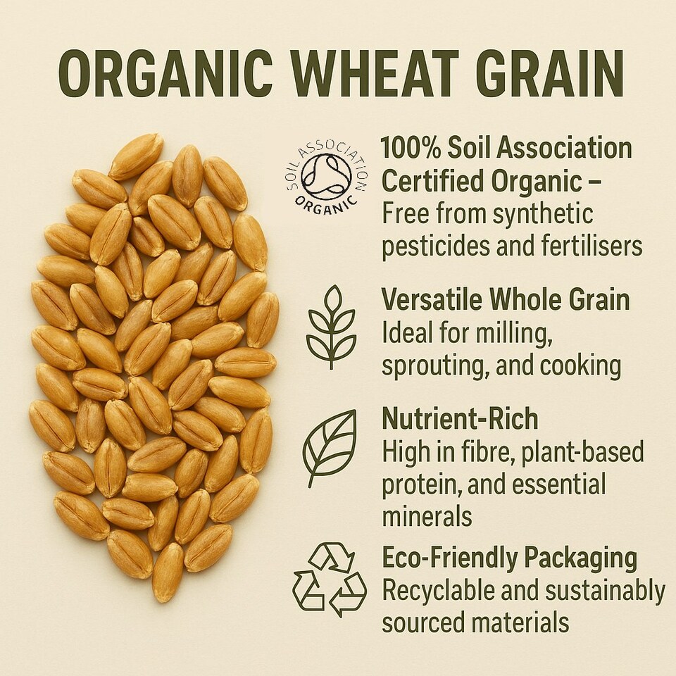 image 1 of Organic Wheat Grain 2kg (Sussex Wholefoods)