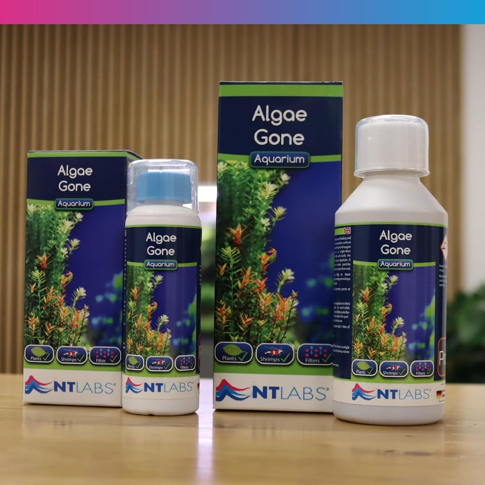 image 1 of NT Labs Algae Gone 250ml - Effective Algae Treatment for Aquatic Environments