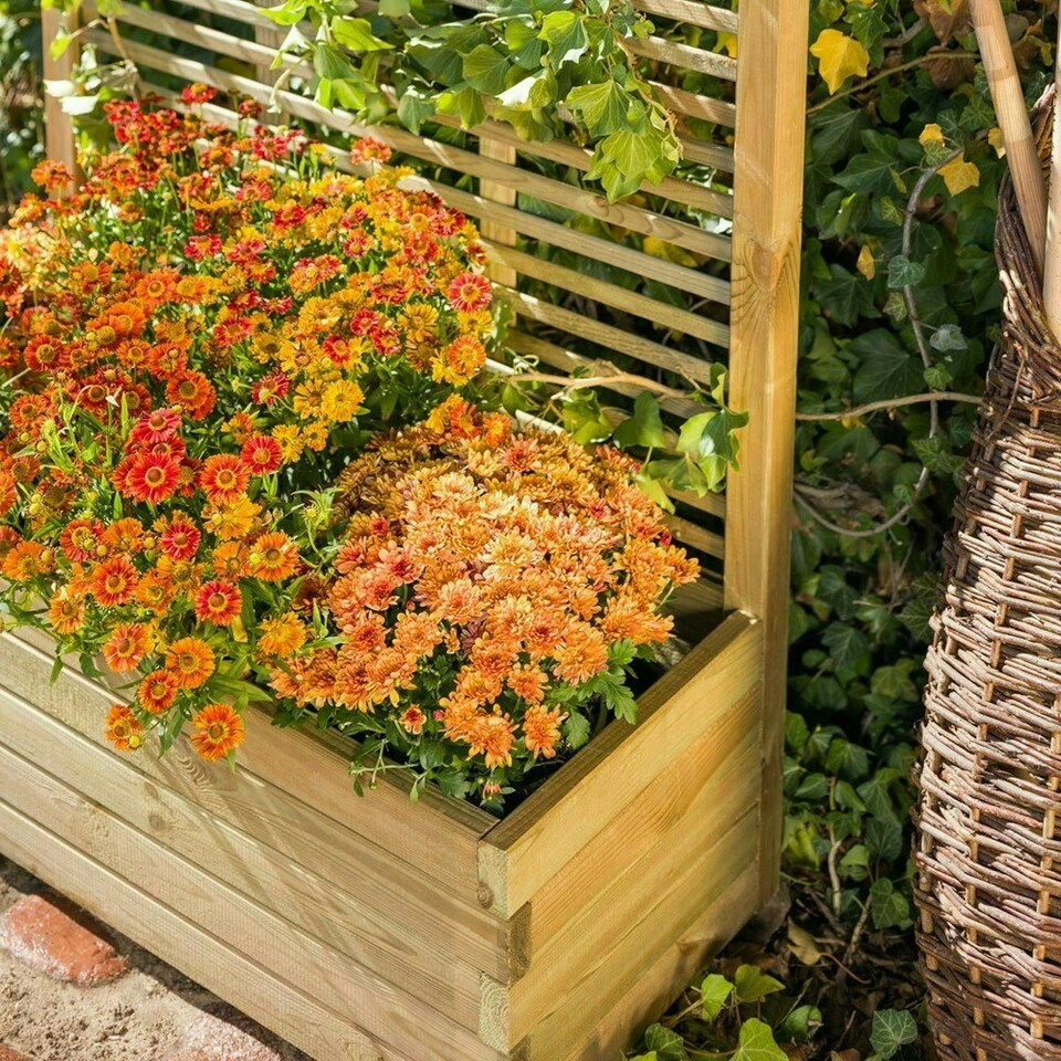 image 1 of Primrose Wooden Trough Planter 90cm x 40cm With Venetian Style Trellis 1.8m N/A