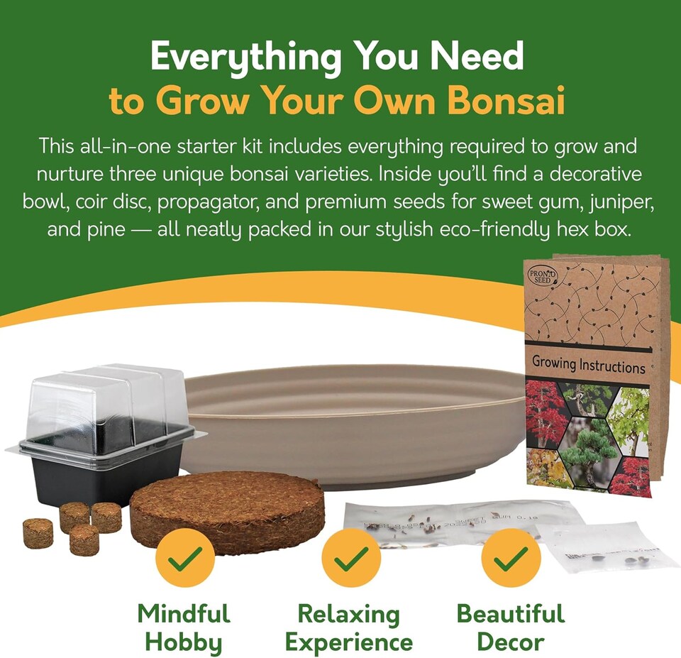 image 1 of Grow Your Own Bonsai Kit - Traditional Trio - Pine, Sweetgum & Larch with Slate & Propagator | Multi | Trio Bonsai | 1