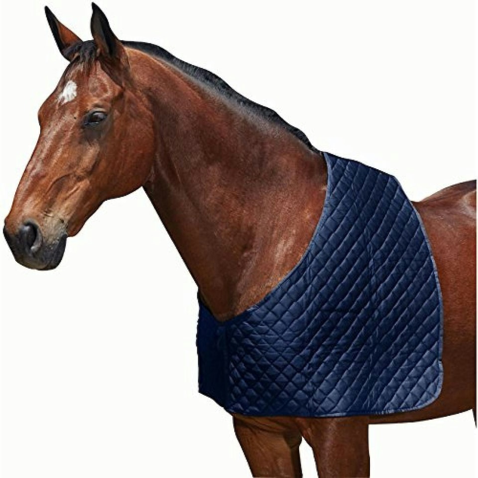 image 1 of Weatherbeeta Deluxe Shoulder Guard - Navy - Pony