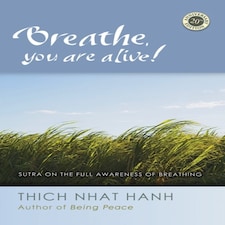 Breathe You Are Alive