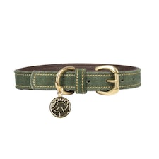 Benji & Flo Noble Suede Dog Collar | Green | Green/Gold | S | 1
