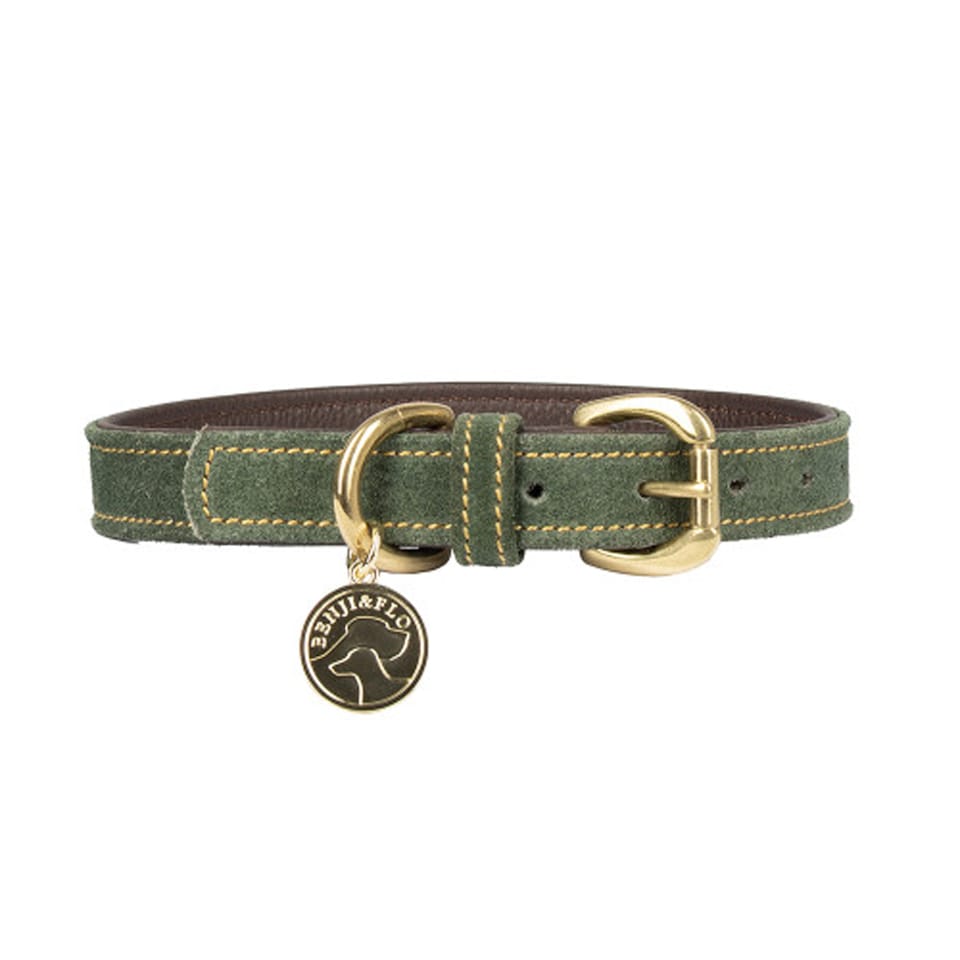 image 1 of Benji & Flo Noble Suede Dog Collar | Green | Green/Gold | S | 1