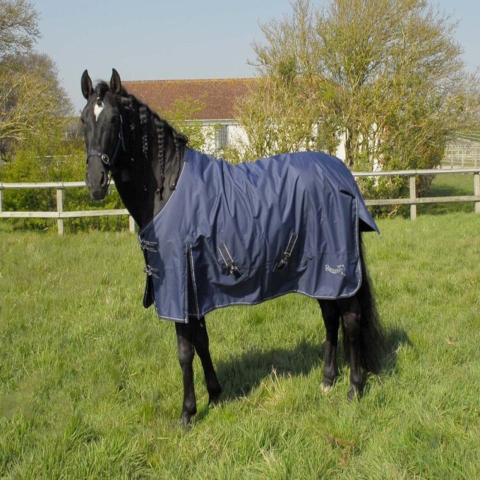 image 1 of Rhinegold Arizona Outdoor Rug Blue | Size: 6ft 9
Colour: Navy Blue