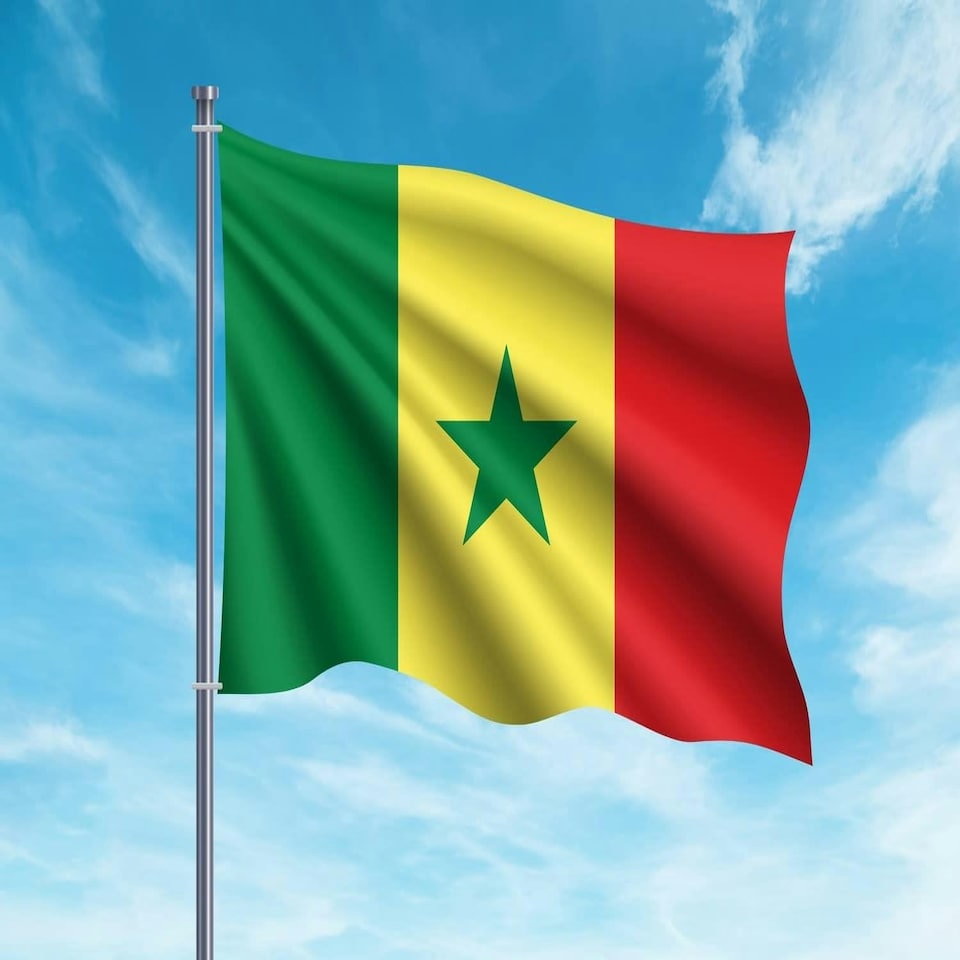 image 1 of Senegal Flag 5x3ft With Eyelets Multi