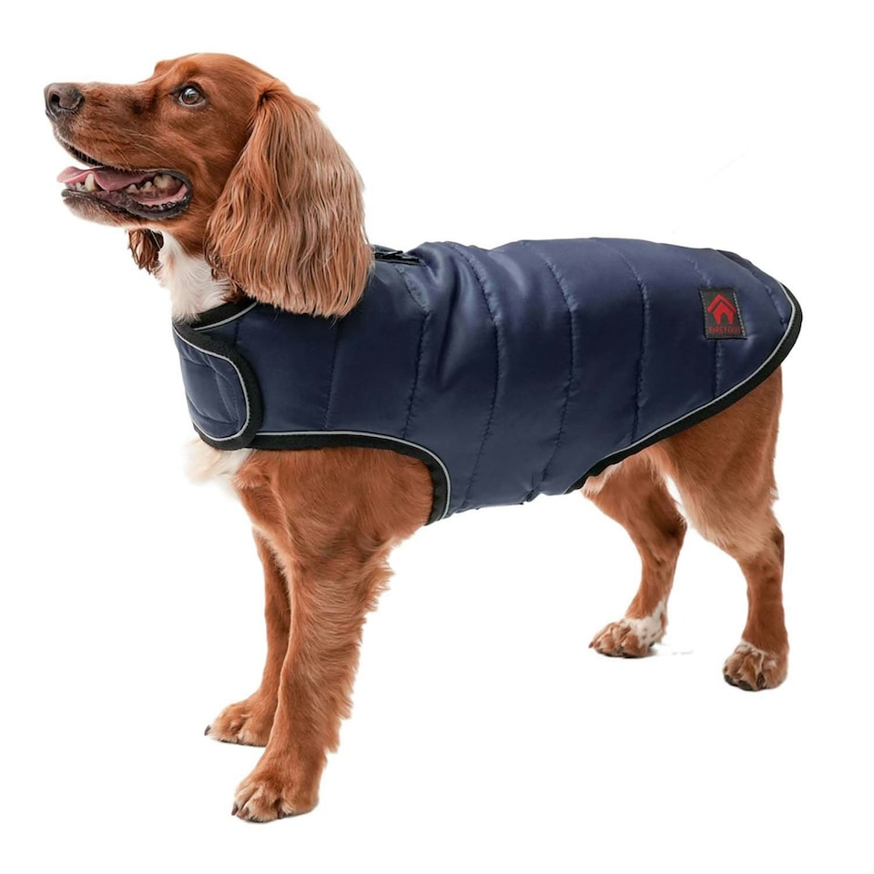 Firefoot Quilted Dog Coat - Navy - 36cm