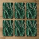 image 2 of Tropical Leaves on Black (Coaster)
