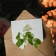 image 3 of Pierre-Joseph Redouté Art Card Climbing Hydrangea Flowers
