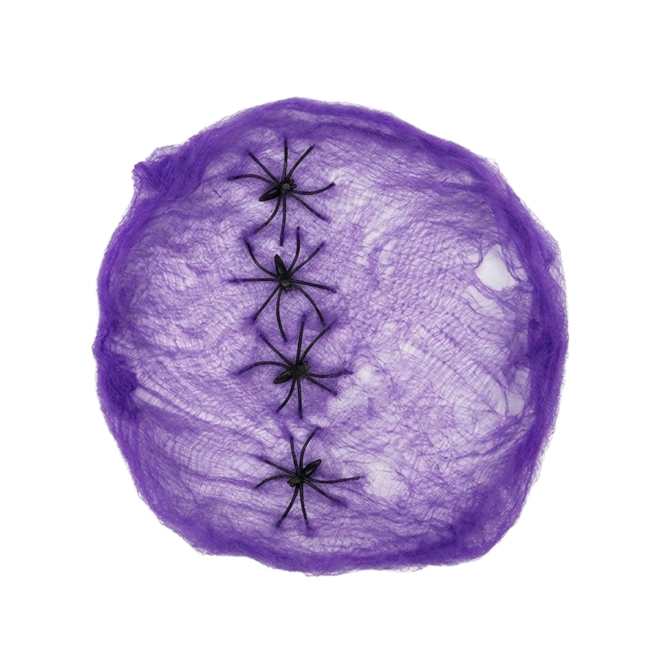 image 1 of Purple Cobweb with Plastic Spiders Halloween Decoration 60g
