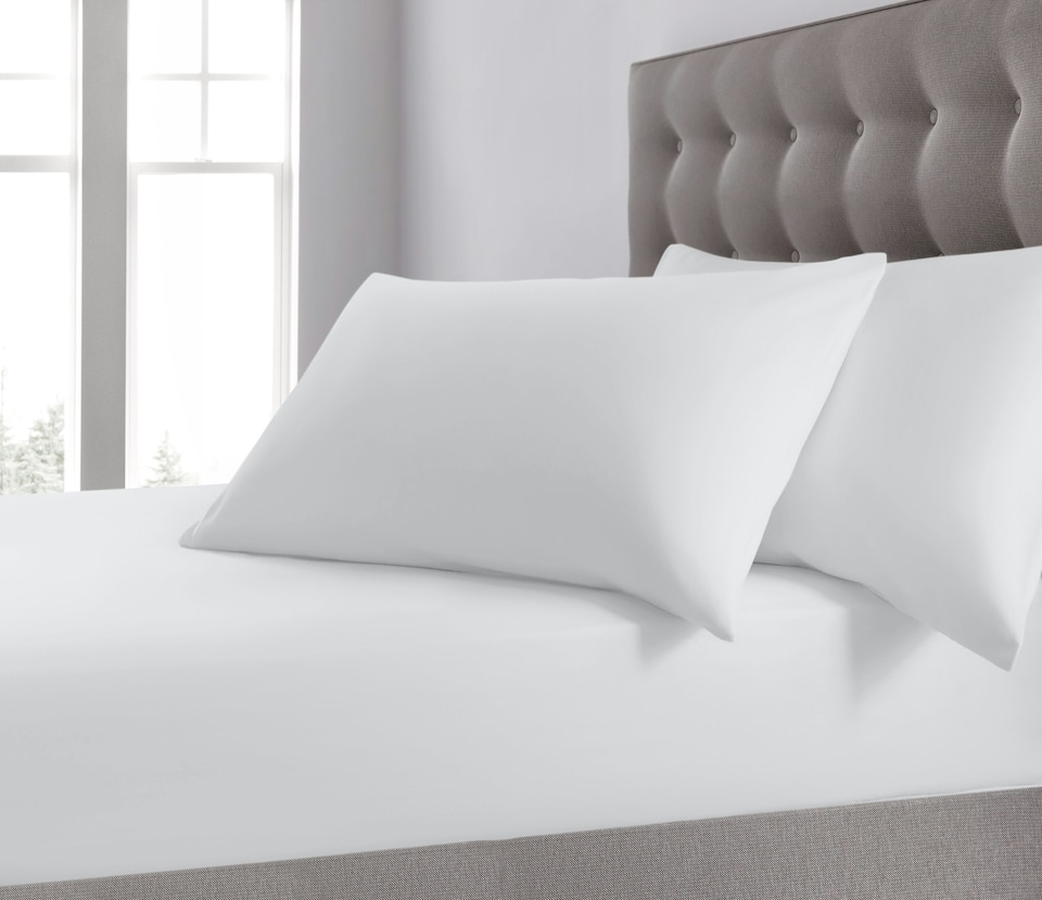 image 1 of Sweet Dreams 200 Thread Count Percale Cotton Fitted Sheet | White | White | Single