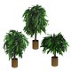 image 5 of Artificial Mango Plant Tree 120cm Tall Green Wood | Green | 4ft