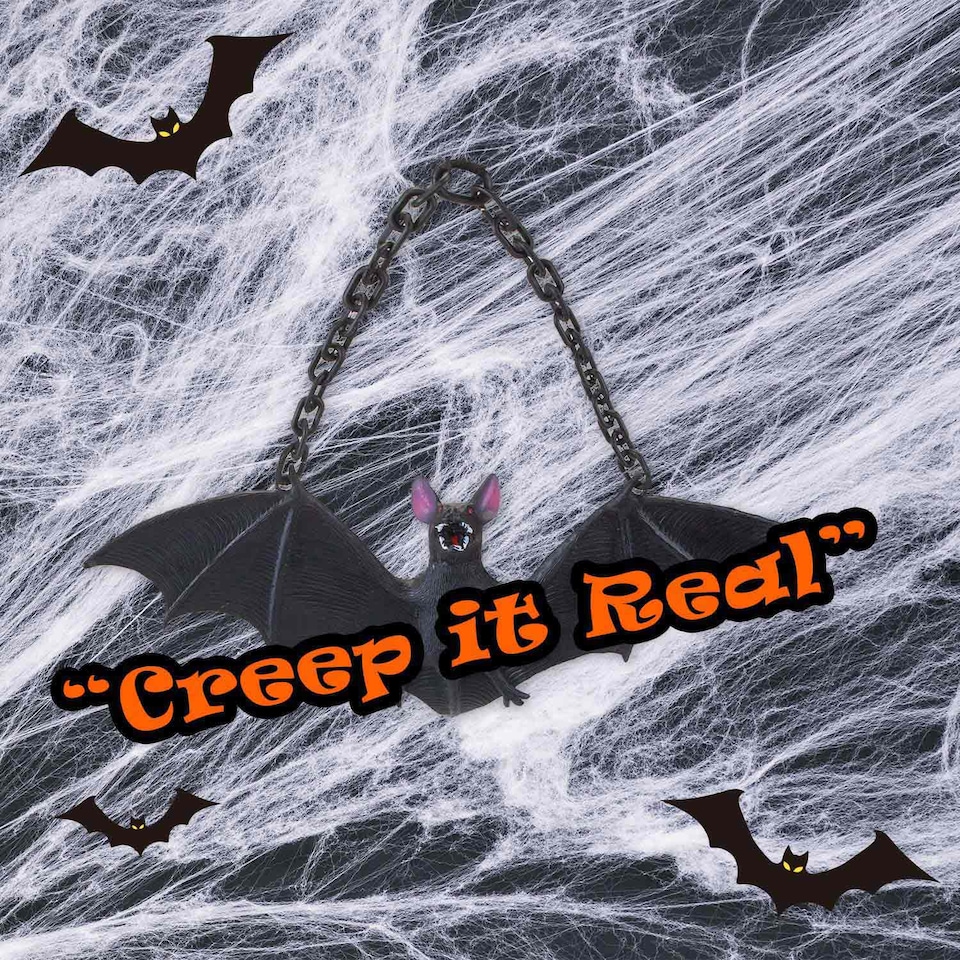 image 1 of PMS Hanging Bat Decoration for Halloween Party, Black