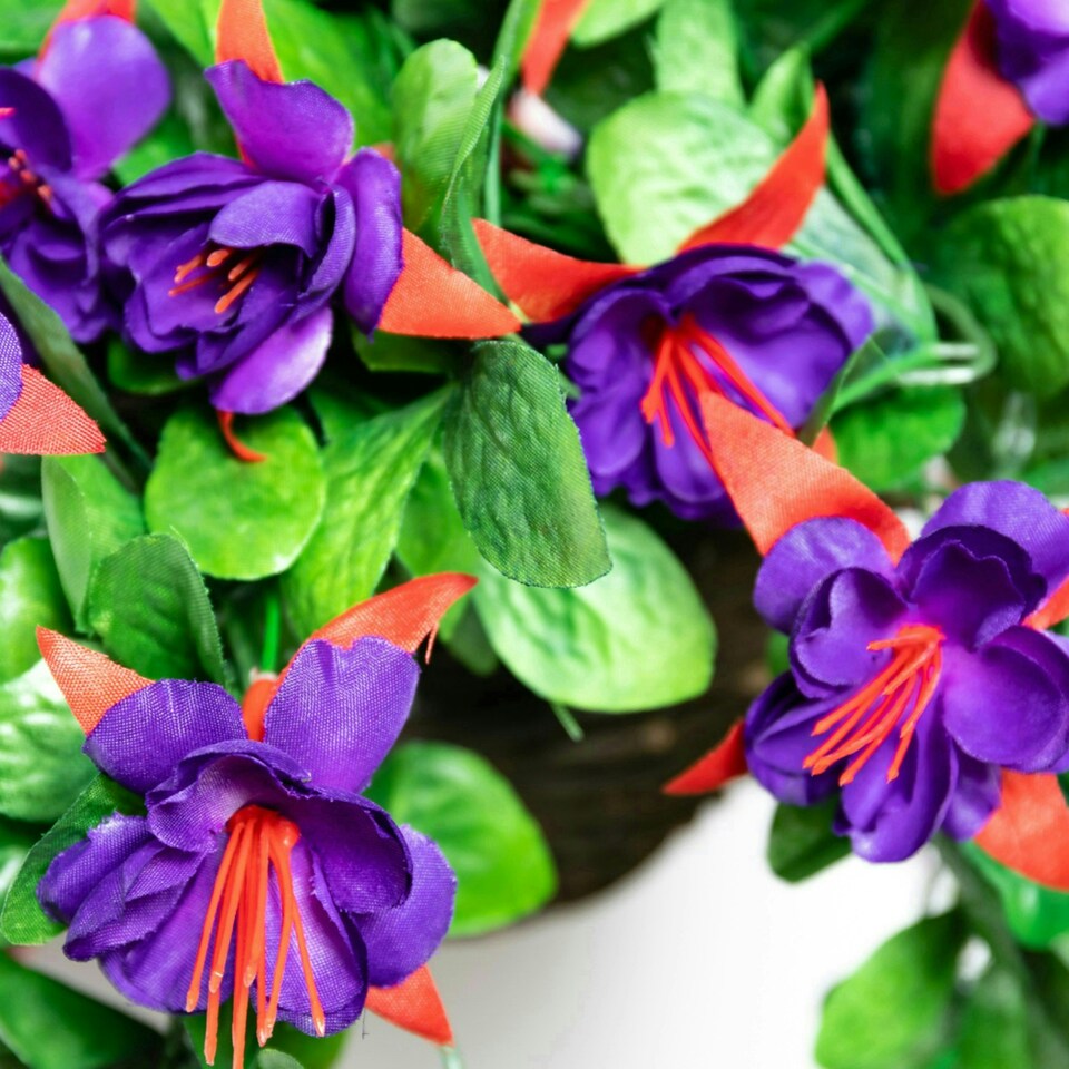 image 1 of Primrose Artificial Fuchsia Flowers with Rattan Hanging Basket in Purple 25cm