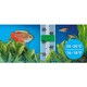 image 7 of Fluval Pre-Set Heaters N/A