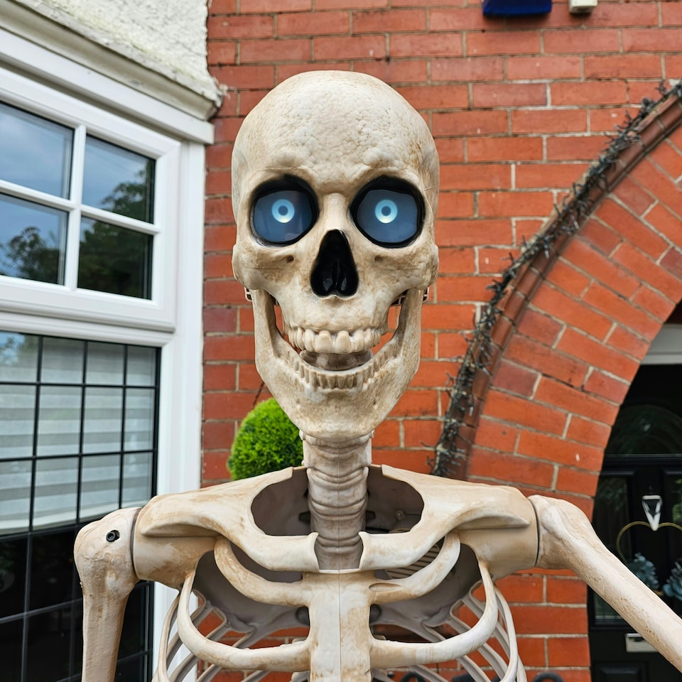 image 1 of GIANT 8ft (240cm) Standing Indoor Outdoor Animatronic Halloween Skeleton Decoration