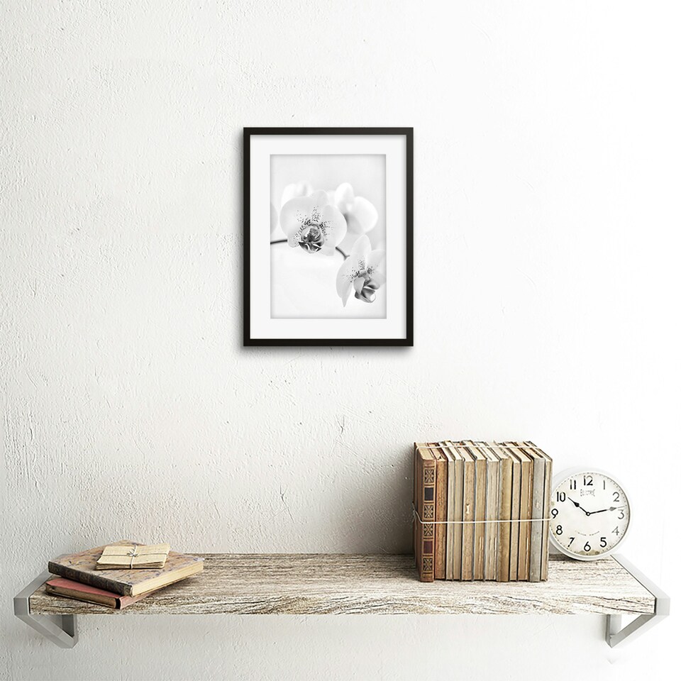 image 1 of Photo Nature Plant Orchid Flower Black White 9x7" Black Framed Wall Art Print