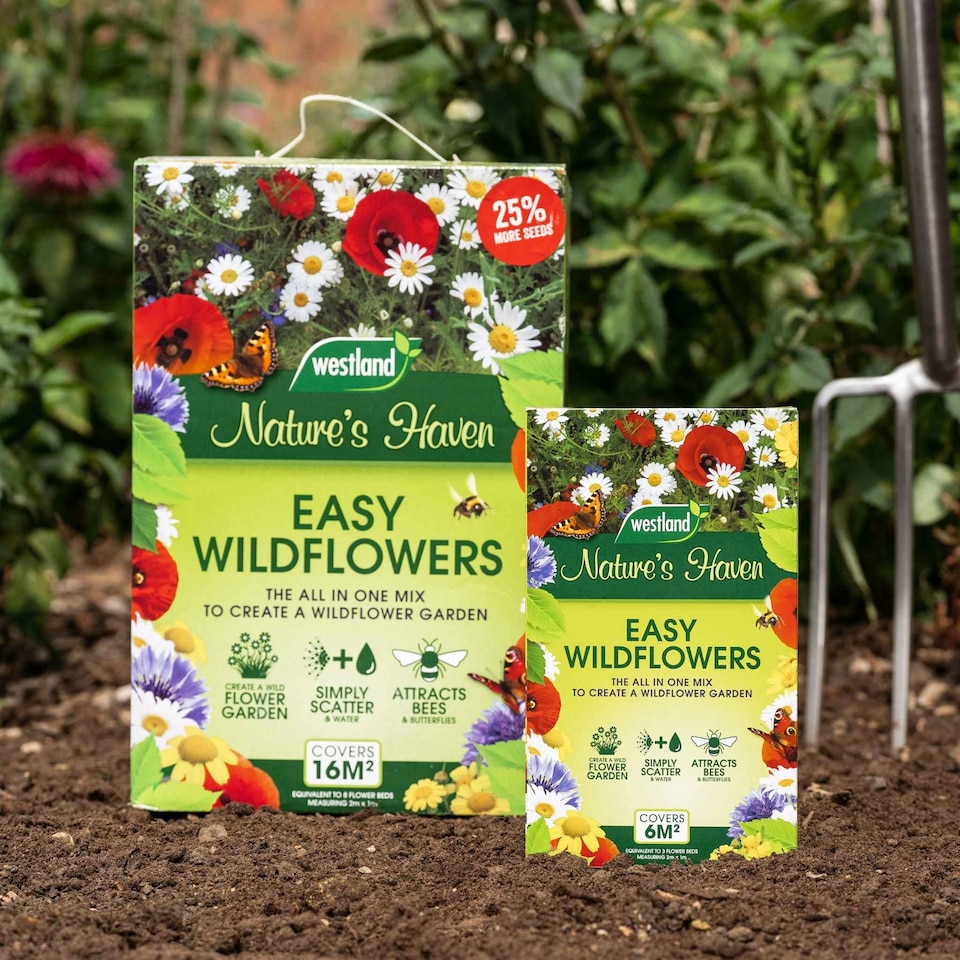 image 1 of Natures Haven Easy Wildflower Seed Mix, Pollinator-Friendly with Added Fertiliser 1.2kg box