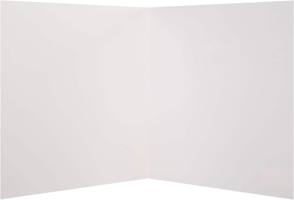 image 1 of National Geographic Photographic Animals Pack of 10 in 5 Designs Birthday Thank You Blank Cards