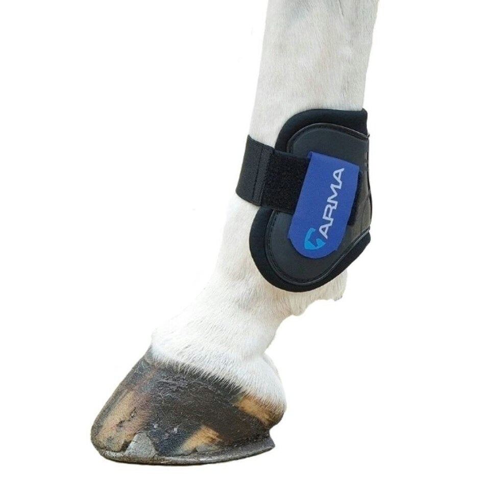 image 1 of ARMA Horse Fetlock Boots - Black/Royal Blue - Pony/Cob