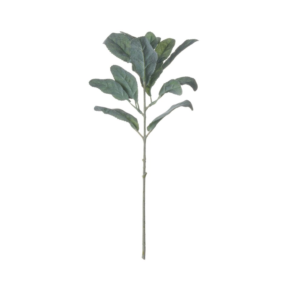 Hill Interiors Artificial Lambs Ear Single Stem - Green - One Size
