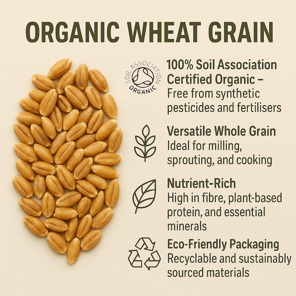 image 1 of Organic Wheat Grain 500g (Sussex Wholefoods) | Multi